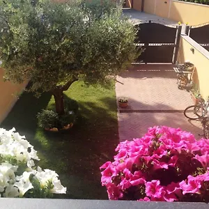 Chalet Dei Pescatori Bed & Breakfast Roma